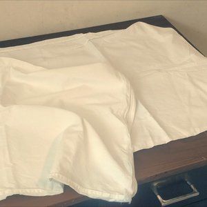 2 large/jumbo Pillows + 1 cover